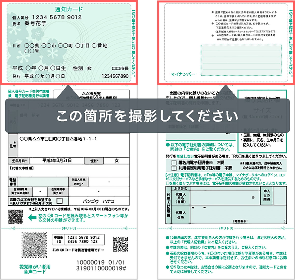 「通知カード」を撮影する場合の注意事項